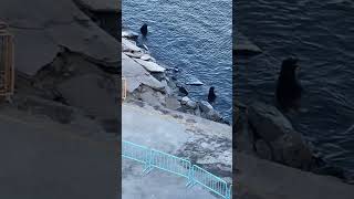 Carnival Radiance view from the 10 th floor in Ensenada!!