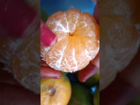 kamalakayalu#orange#fruits#juice #fruits#healthy fruits#streetfood #shorts #Rupika kitchen food