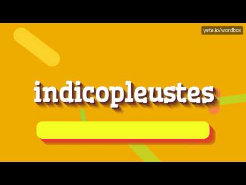 INDICOPLEUSTES - HOW TO PRONOUNCE IT!?