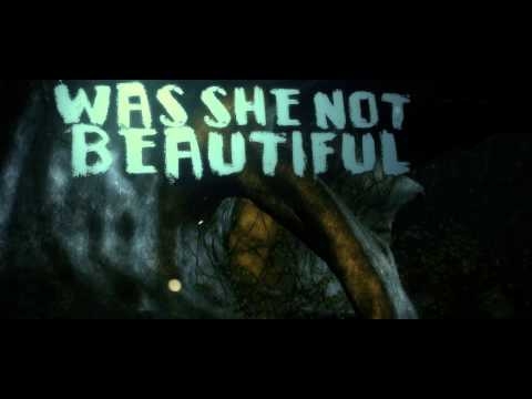 A Tragic Setback - Too Beautiful for Earth (Official Lyric Video)