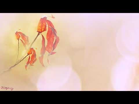 Tan tác  Beat Nữ  Karaoke Only 360p