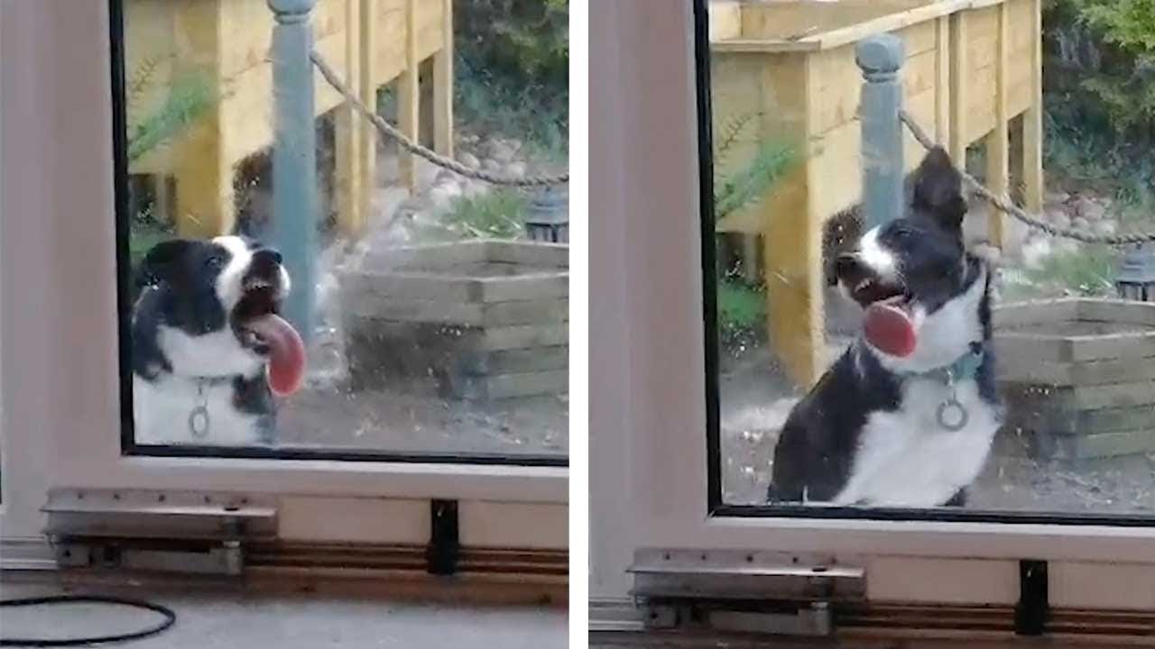 YouTube video preview