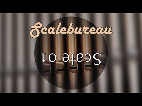 .: Scalebureau °01 ¡¡ Where pitch hits more than 12 notes feat. Tubbutec µTune, 4MS EO & Eudemonia