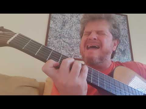 Passarinhadeira - Guinga