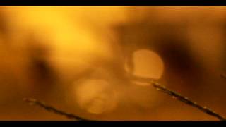 Franco Micalizzi - Trinity in lounge 3