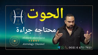الحوت ♓️ هتنفذ اللى فى دماغك رغم أنف الجميع وبلا إستثناء ♓️ #برج_الحوت #توقعات