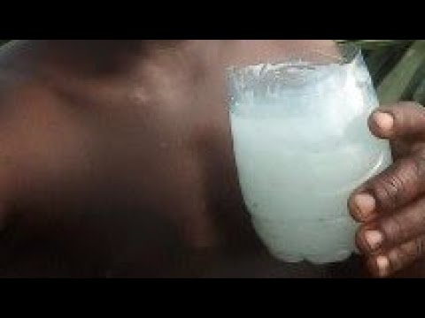 obin Solange 2022 tu payes pas, tu bois, tu ne payes pas tu ne bois pas