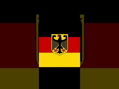 Störkraft - Störkraft