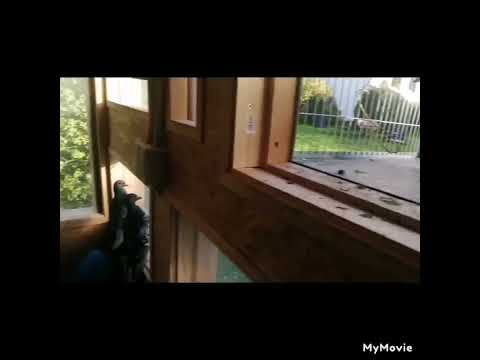 Stand vom neuen Schlag und den Tauben