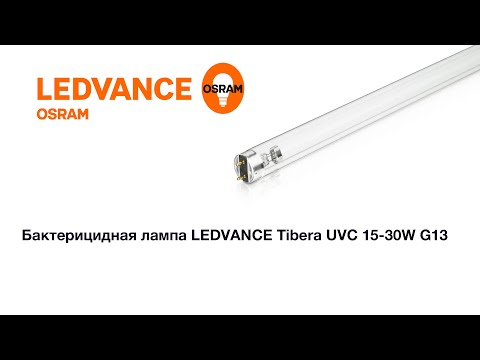 Видеопрезентация Видеопрезентация