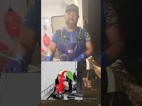 The art of setting out sword fish hooks.