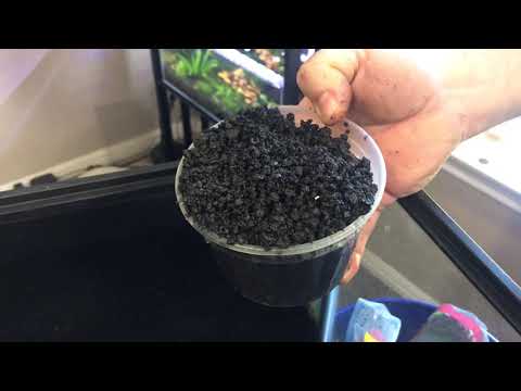 Setting Up Planted Tank Substrate - Dirt and Carib Sea Eco Complete