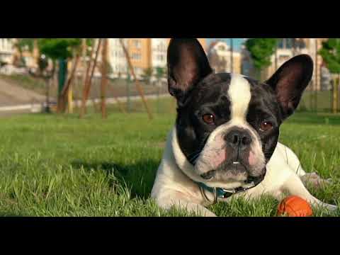 Luxury Living in Malden, MA