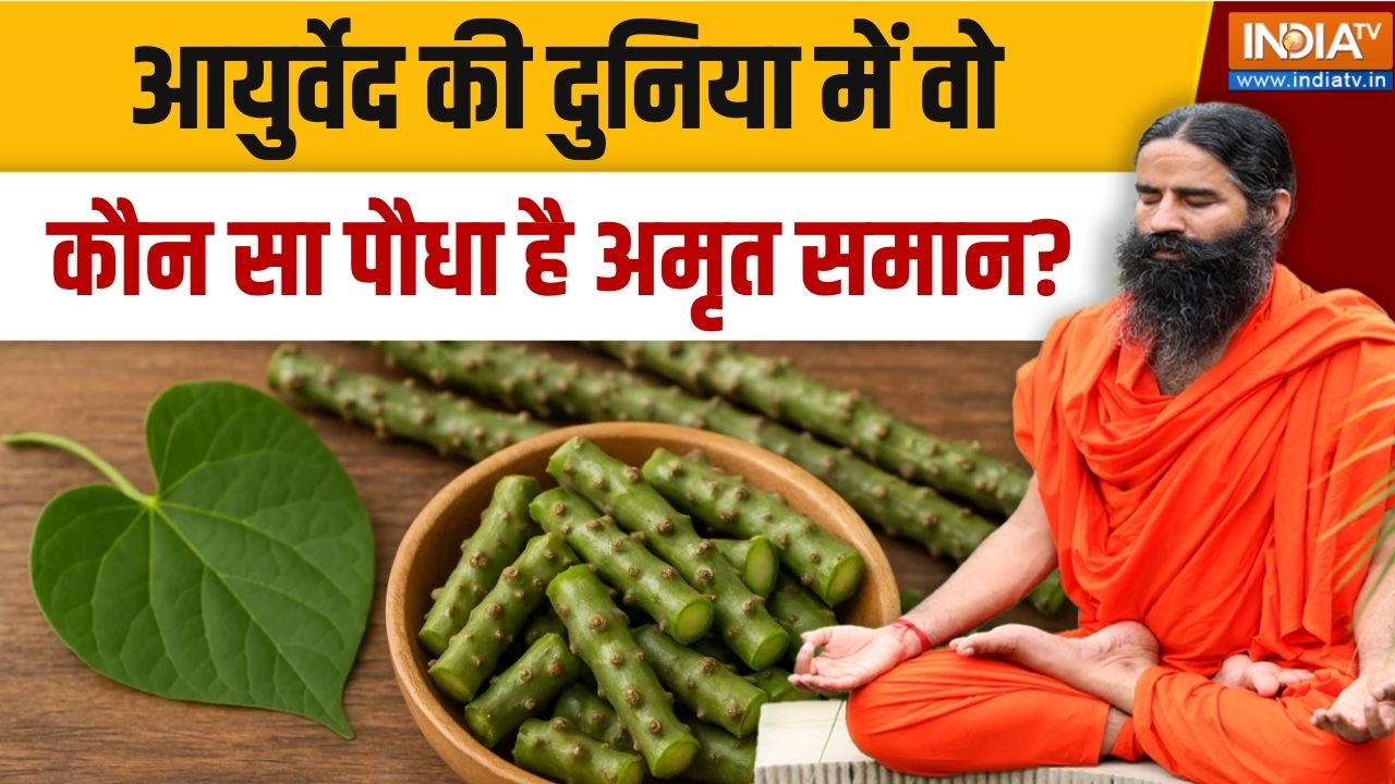 Yoga With Swami Ramdev LIVE: जड़ी-बूटी दिवस पर जानिए कुदरत में क्या क्य?