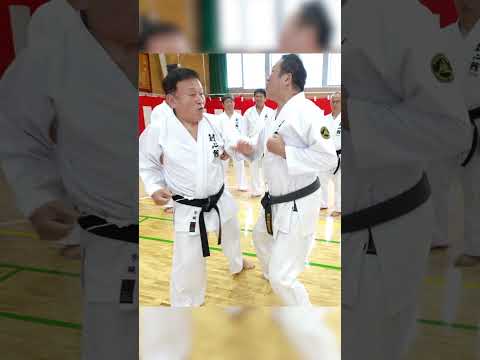 触れた瞬間、黒帯が崩れ落ちる…力を使わず「間」を制す | 宇城空手(61) #karate #空手 #shorts