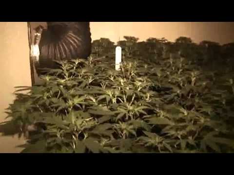 Nataz & Tiad - City of Haze 2 (produziert. by Beat Em Up)