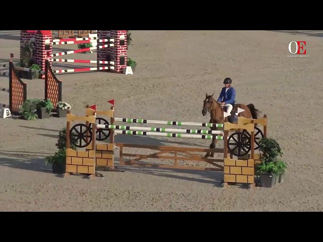 Half-brother of this Implanted Embryo is the CSI 1.60m horse Gran Canyon with rider Bart Bles.