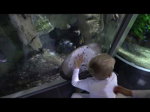 2019 October 26 - Dubai Aquarium 5