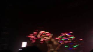 Fuchsia Butterflies - Kid Cudi (2/11/16)