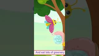 🐌Snail, Snail, Little Snail | Nursery Rhymes & Children's Songs | ZuZZi the Ladybug