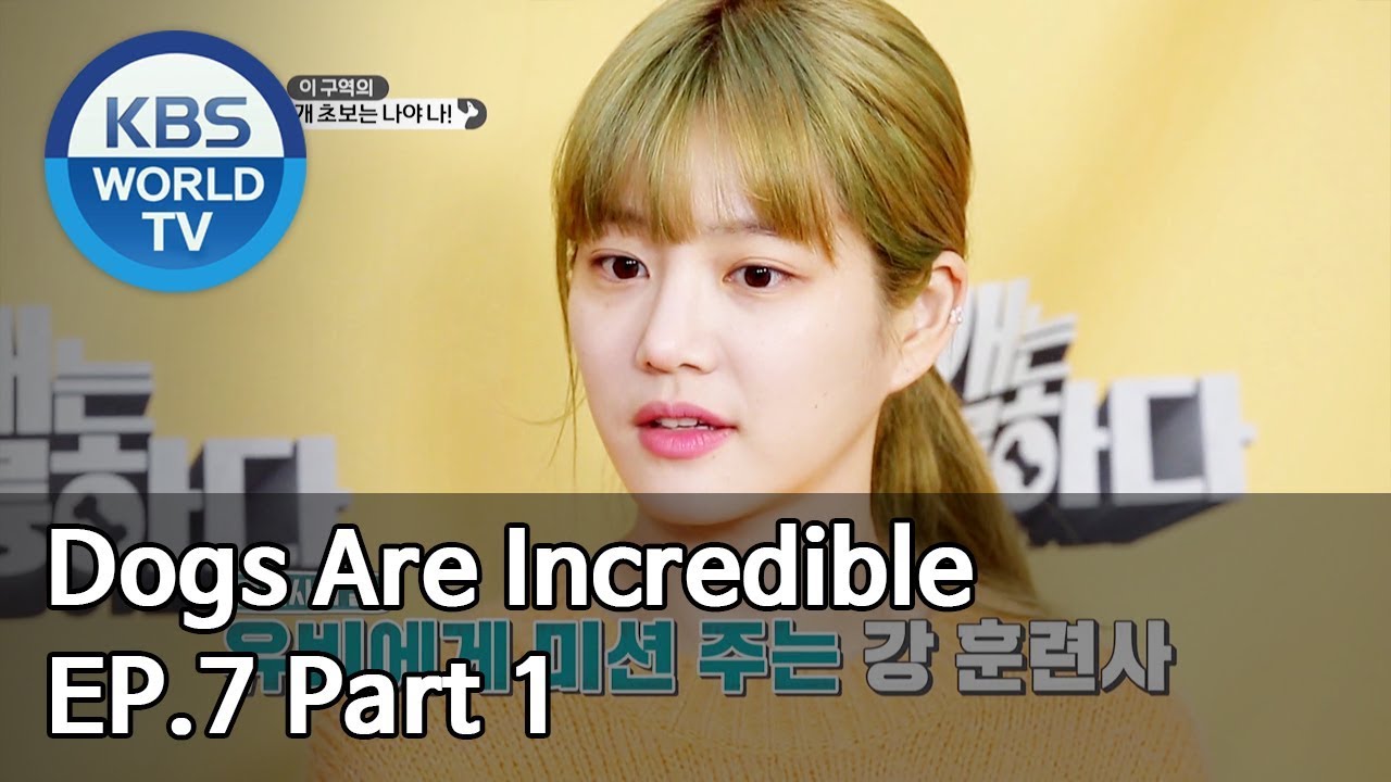 Dogs are incredible | 개는 훌륭하다 EP.7 Part 1 [SUB : ENG/2020.01.07]