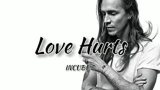 Incubus - Love hurts (lyrics)