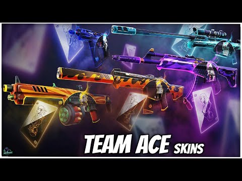 Team ACE Collection (Preview) // VALORANT