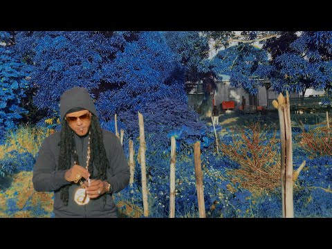 Walton CLR  la vie 2020 ( Touch_Color_Vision)