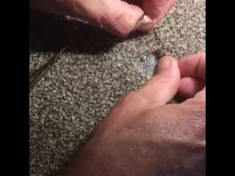 North Star Cleaning video.