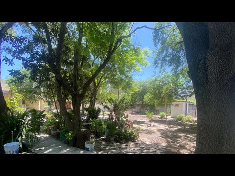 (SPANISH) House tour of my grandma’s childhood home in Villa Mainero, Tamaulipas.