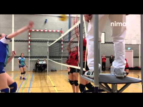 nimaSport - Flamingo's Dames II