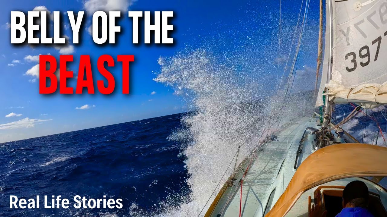 Hold Fast | A Real Life Sailing Story. Tonga to New Zealand