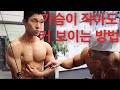 가슴이 작아도 커 보이는 방법 [밑가슴 운동]