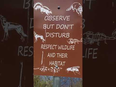 Please don't feed the wildlife!