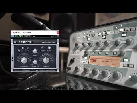 Digital Fishbones Blockfish Plugin Saturation for Guitar feat Kemper