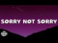 Demi Lovato Sorry Not Sorry Lyrics