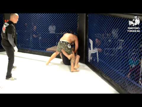 Melhores momentos War of Champions 2