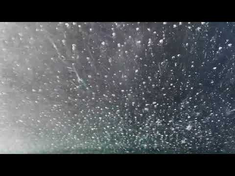 Boo boo’s car wash