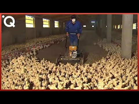 Modern Farming Technology For a Next Level of Productivity ▶️6