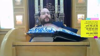 זרע שמשון - פרשת תרומה תשפב - הרב יצחק ליכטנשטיין