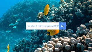 How often should you check your SPG? | Answered | @simplyscuba