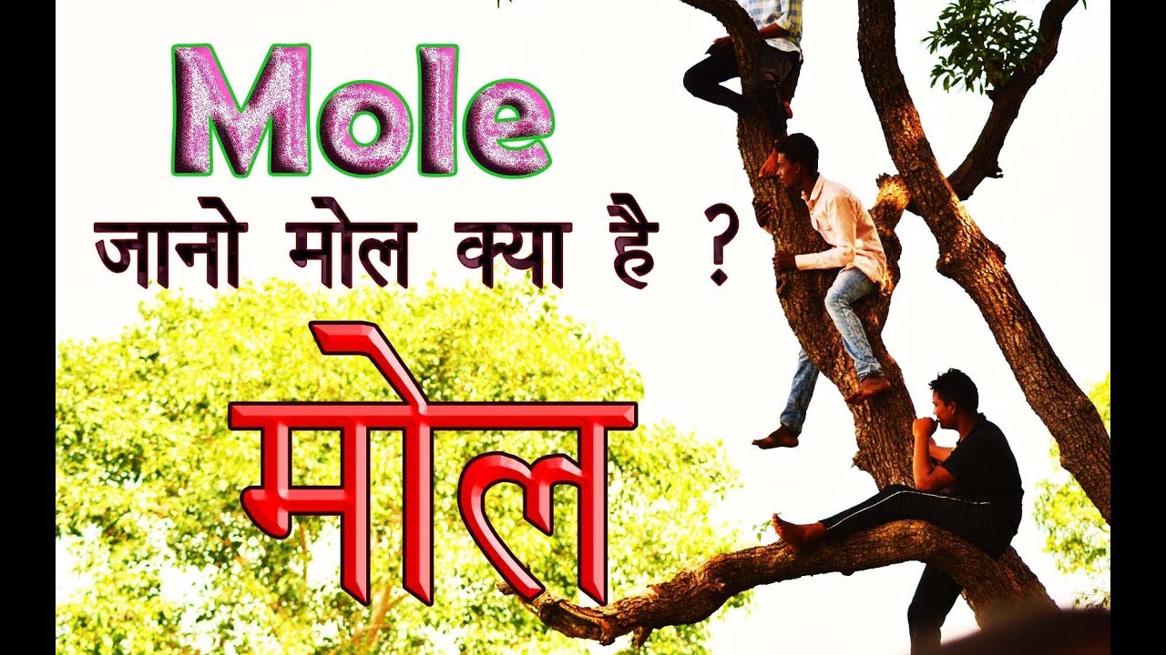 03 Mole concept part 01 vikram HAP Chemistry Hindi
