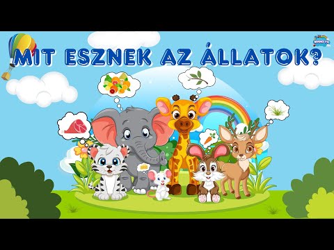 Mit esznek az állatok!? Ismerd meg az állatok kedvenc ételeit! Fejlesztő videó gyerekeknek #animals
