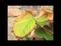 My First Photos
