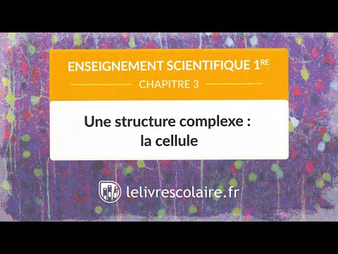Une structure complexe : la cellule (Enseignement scientifique 1re)