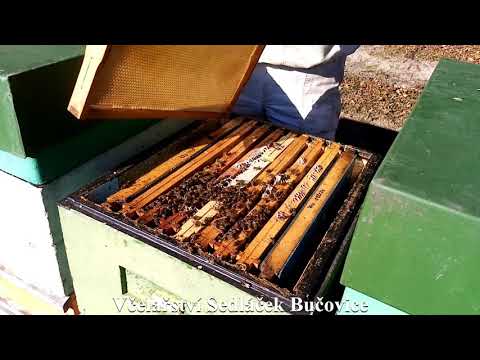 213/21 Listopadová kontrola izolátorů, sítě proti ptákům a zim. optim. 1/2. Včelařství Sedláček