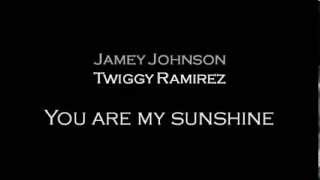 You are my sunshine-Jamey Johnson, Twiggy Ramirez &amp; Shooter Jennings (lyrics)