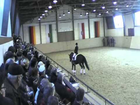 Millenium - Hengstpräsentation Moritzburg 14.02.15