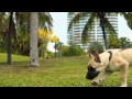 J.Cole - Wet Dreamz Music Video HD