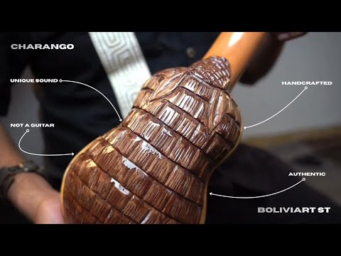 Charango Instrument BoliviArt St Unique Instrument Ukulele Charango 10-String image 6